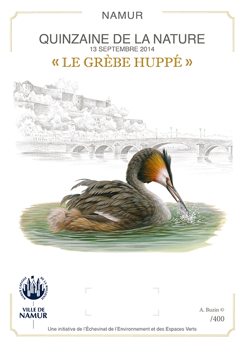 Exposition et vente par l Echevinat de l'Environnement - Ville de Namur de ce nouveau Souvenir philatélique assorti d'un nouveau timbre Grèbe huppé et d'une oblitération spéciale